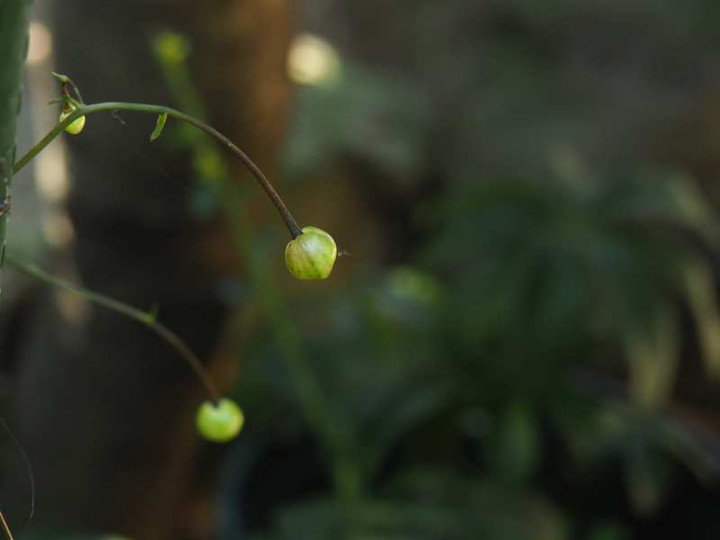 P7301570