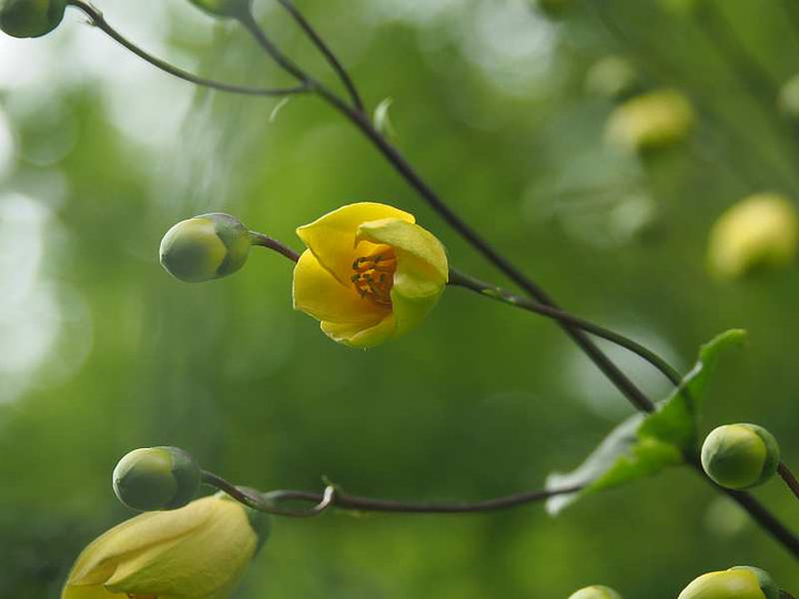 P7311725
