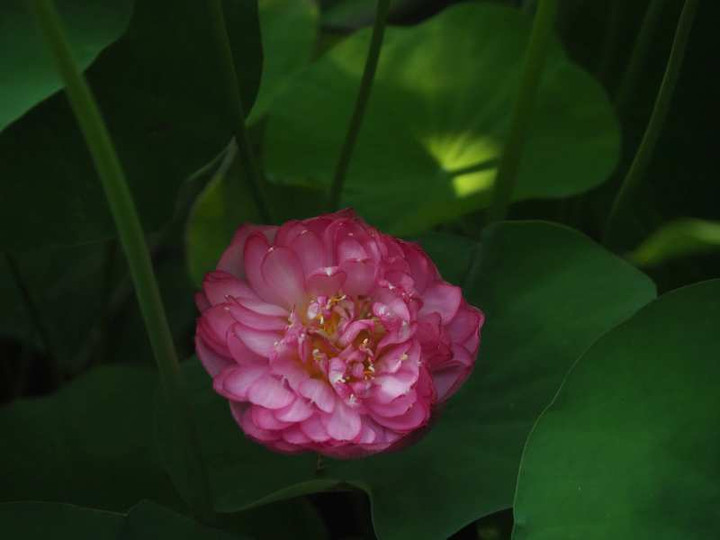 P8011888