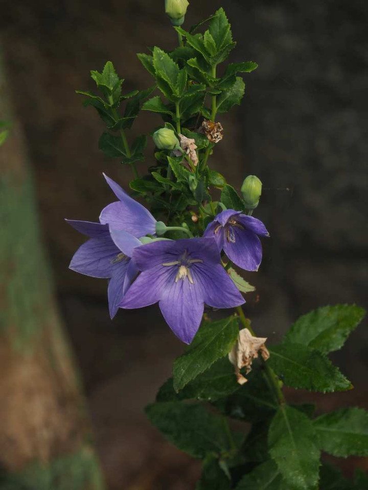 P8021891