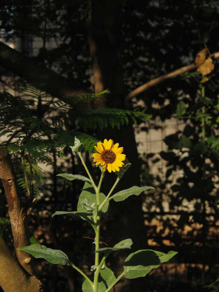 P8041919