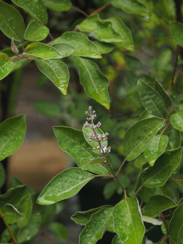 P8122470