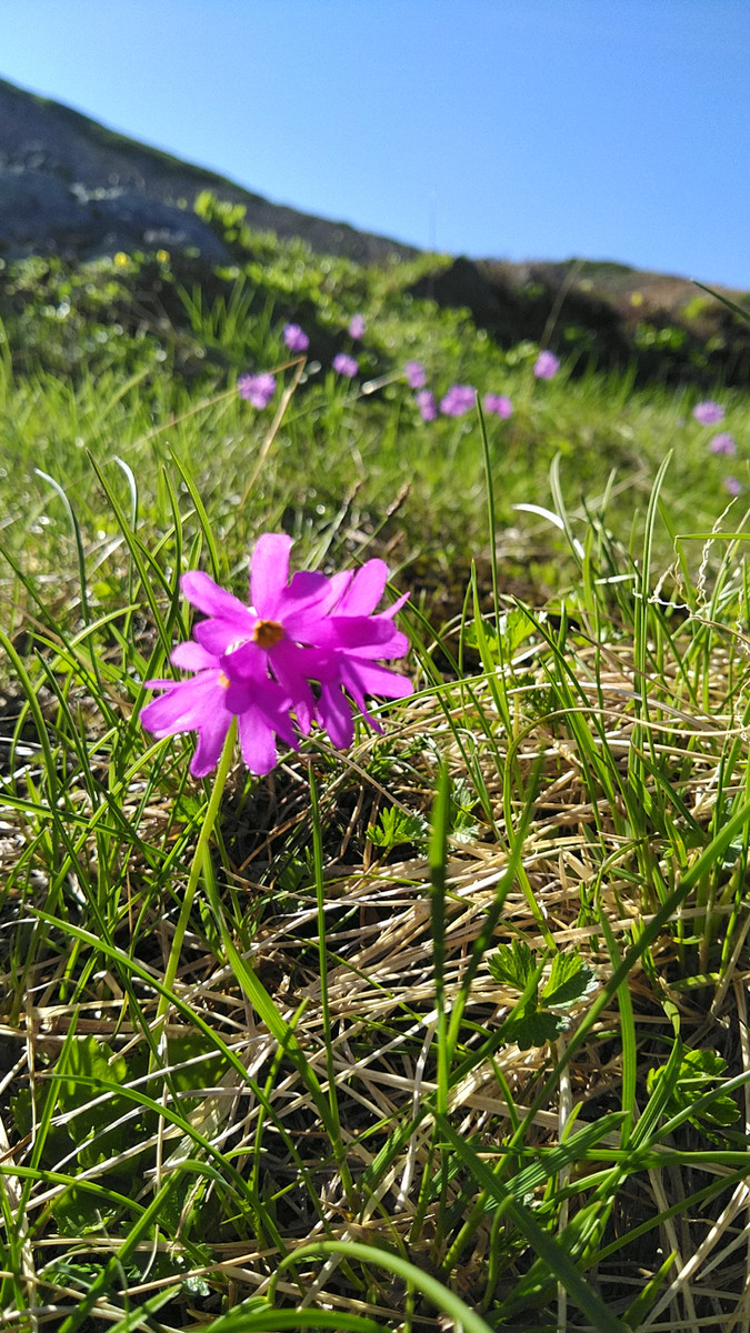 Kimg5728_01_burst1005728_cover