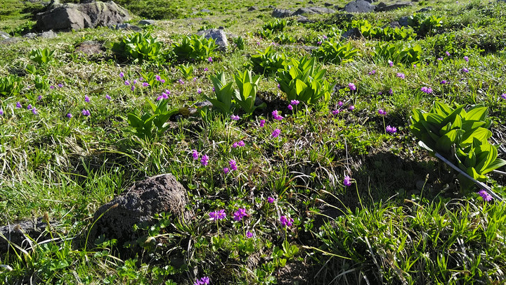 Kimg5759_01_burst1005759_cover