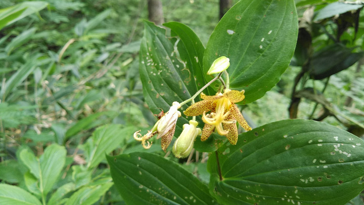 Kimg5862_01_burst1005862_cover