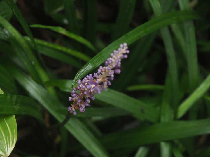 P8142500