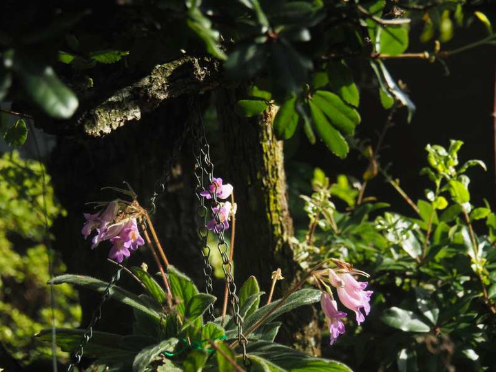 P8222884