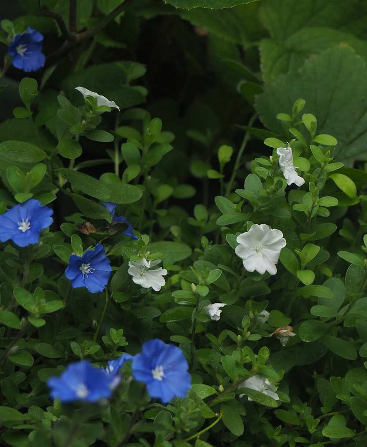 P8232899