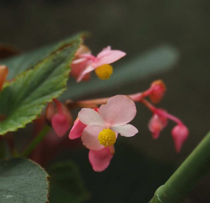 P8232935