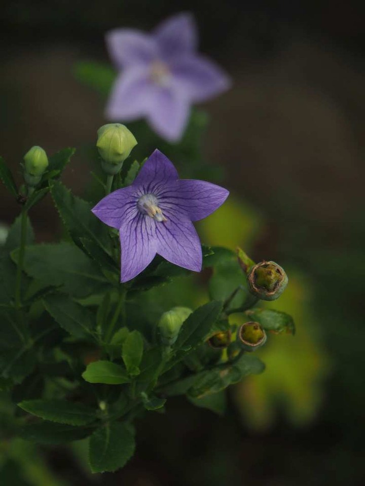 P8232948