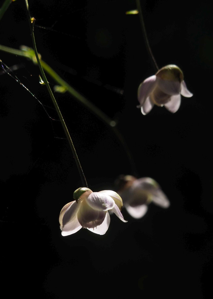 P8253001
