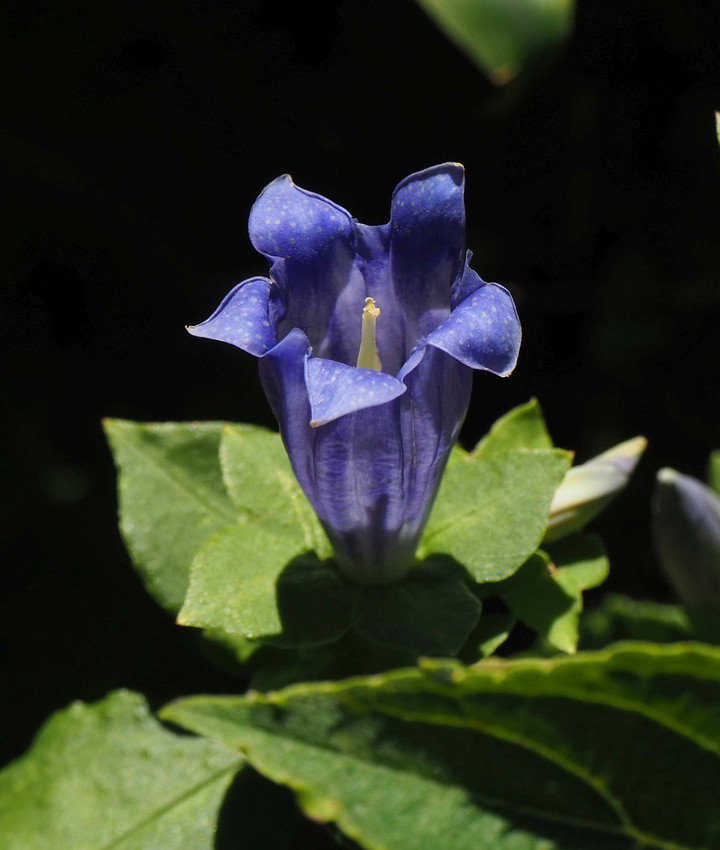 P8283294