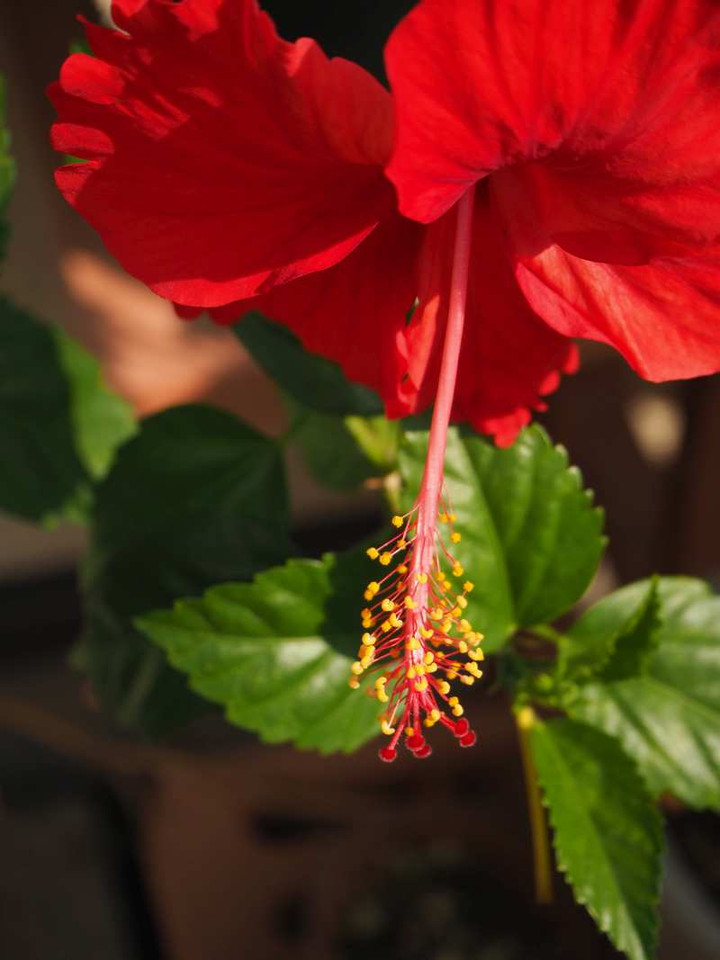 P9013603