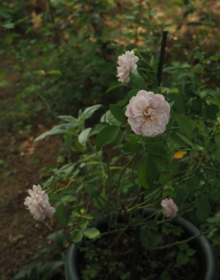 P9013611
