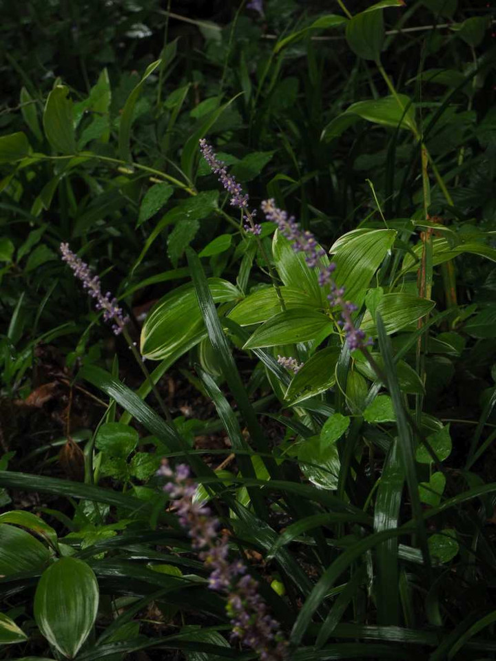P9023633