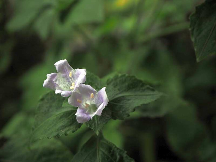 P9023651