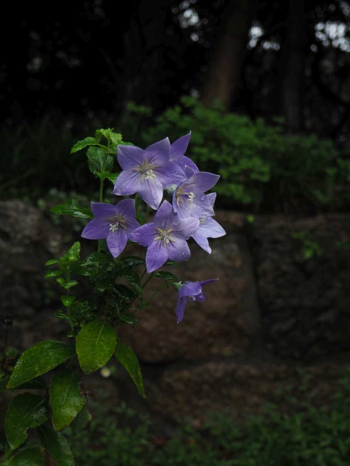 P9033656
