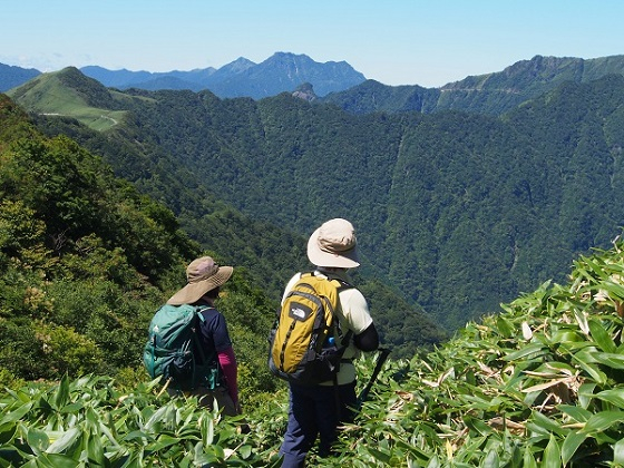 1630156726_1jpgisiduti