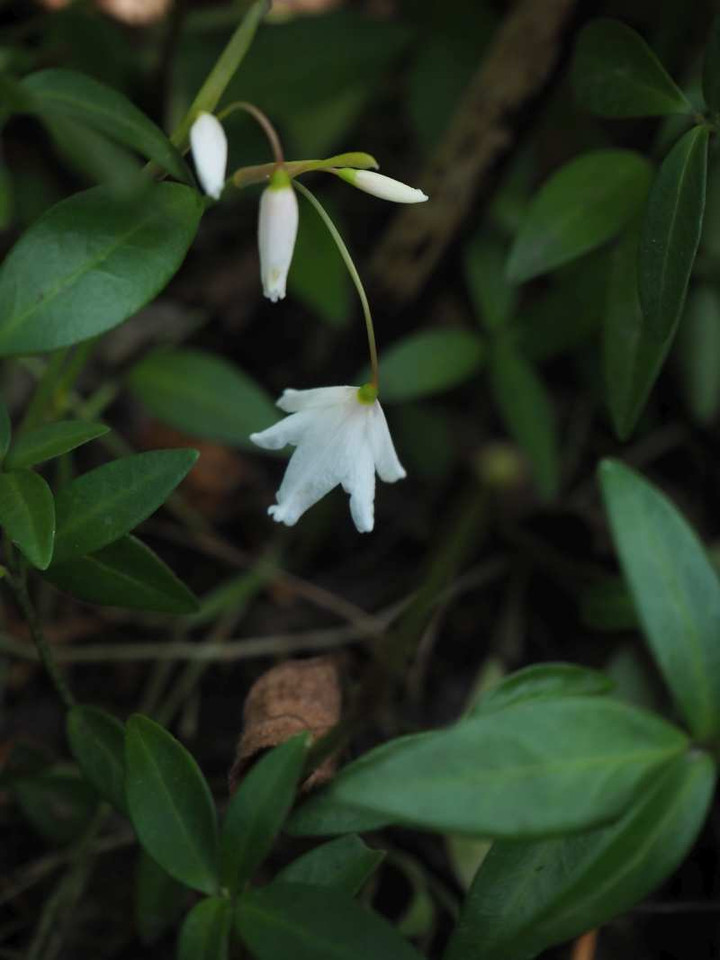 P9093904