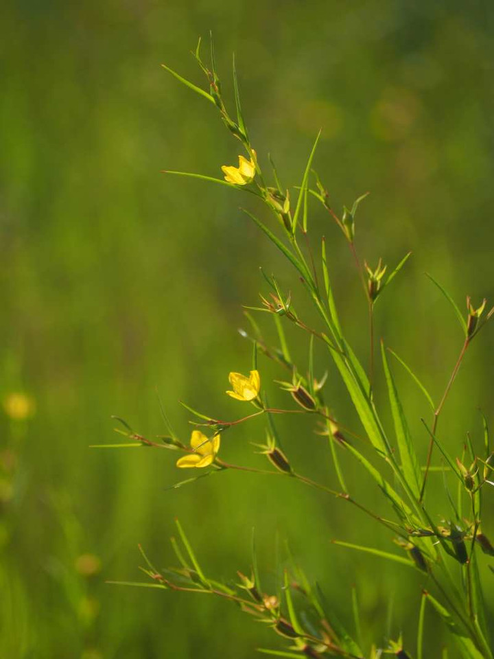 P9093912