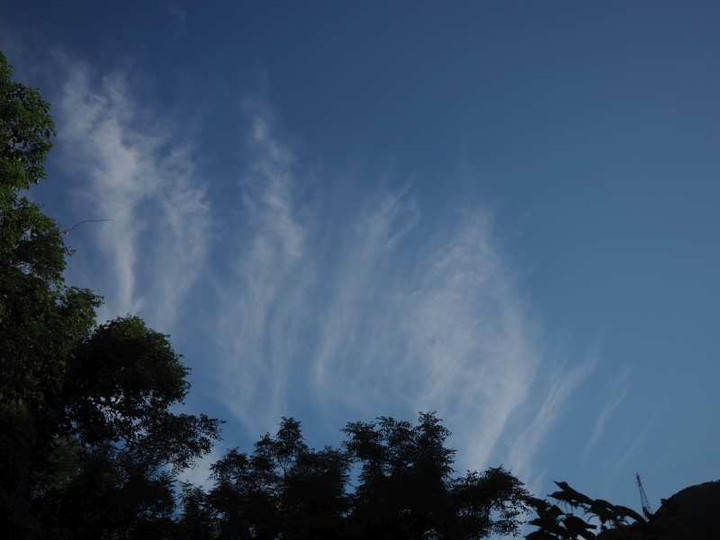 P9093957