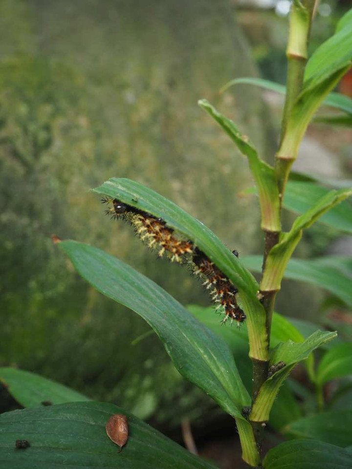 P9103966