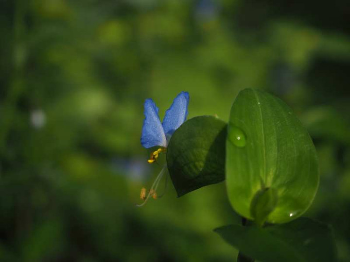 P9103970