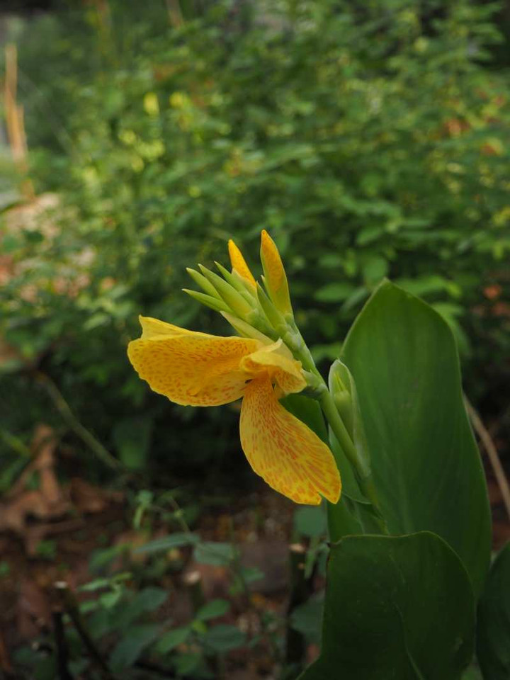 P9103971