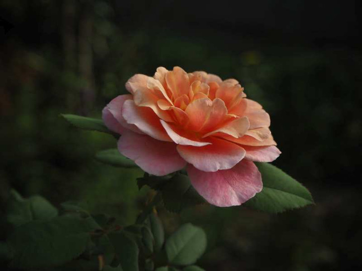 P9103976