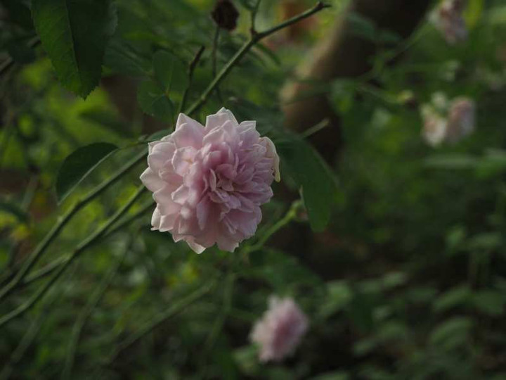 P9103979