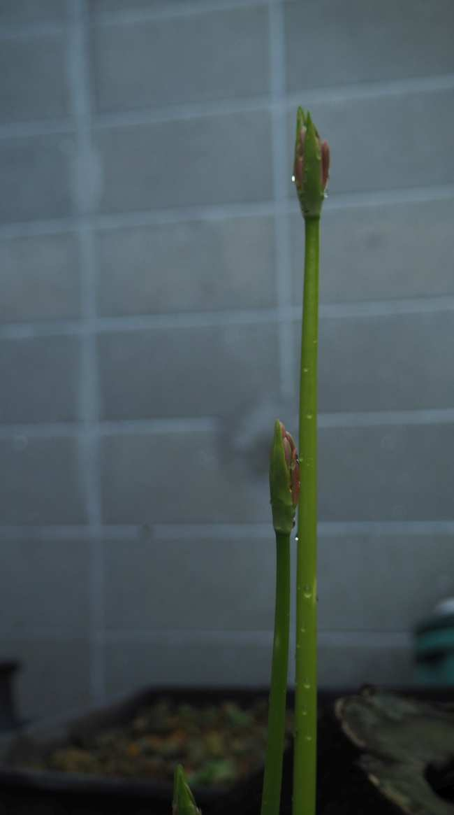 P9114020