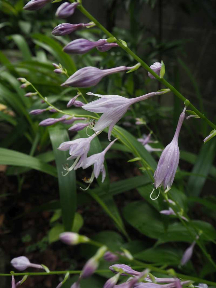 P9114025