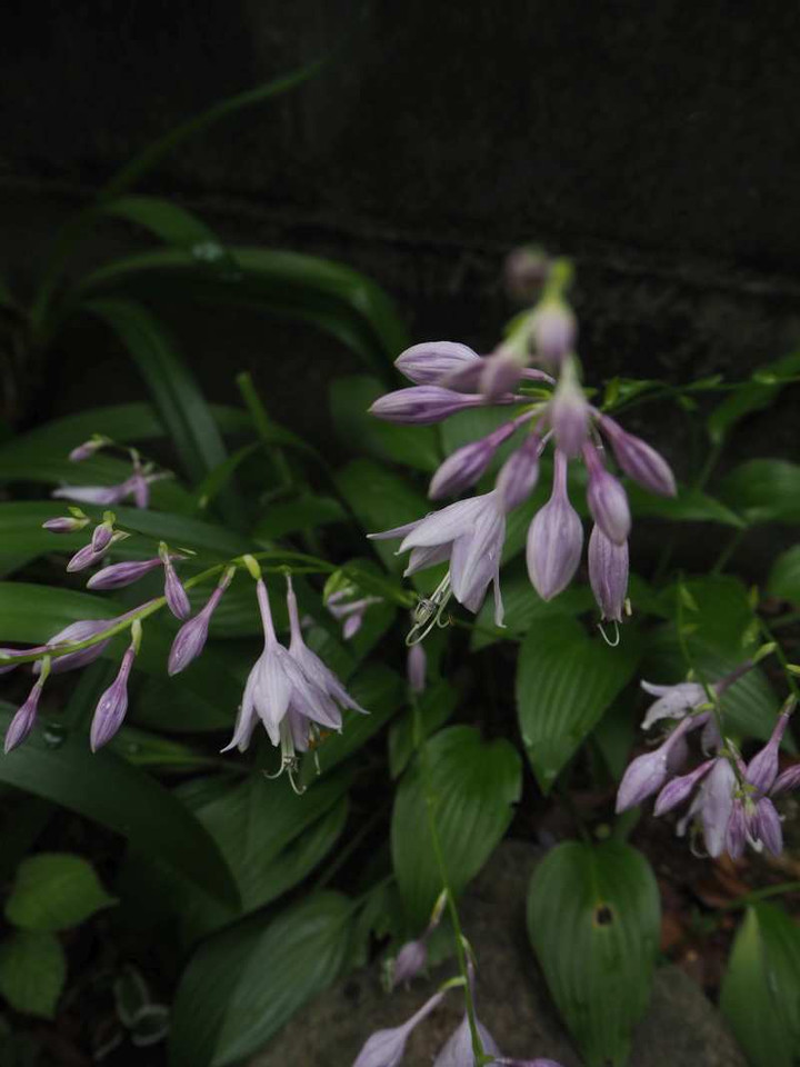 P9114026