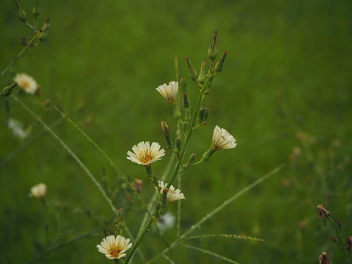 P9114037