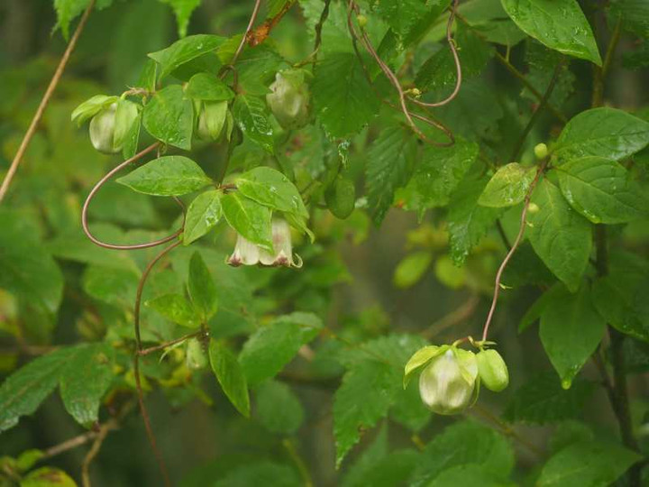 P9124223turuninnjinn