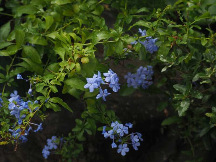 P9134294