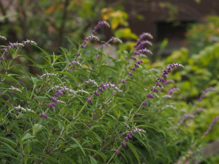P9134328