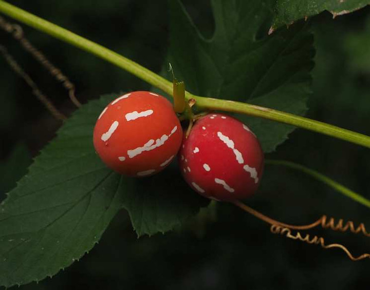 P9134337