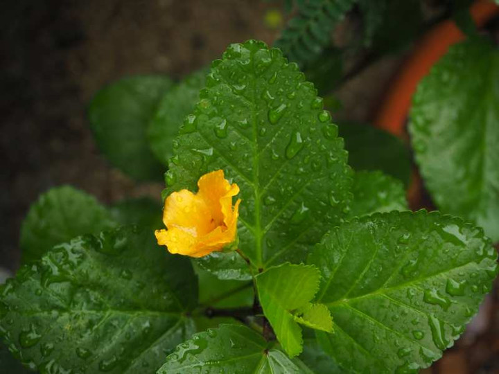P9144373