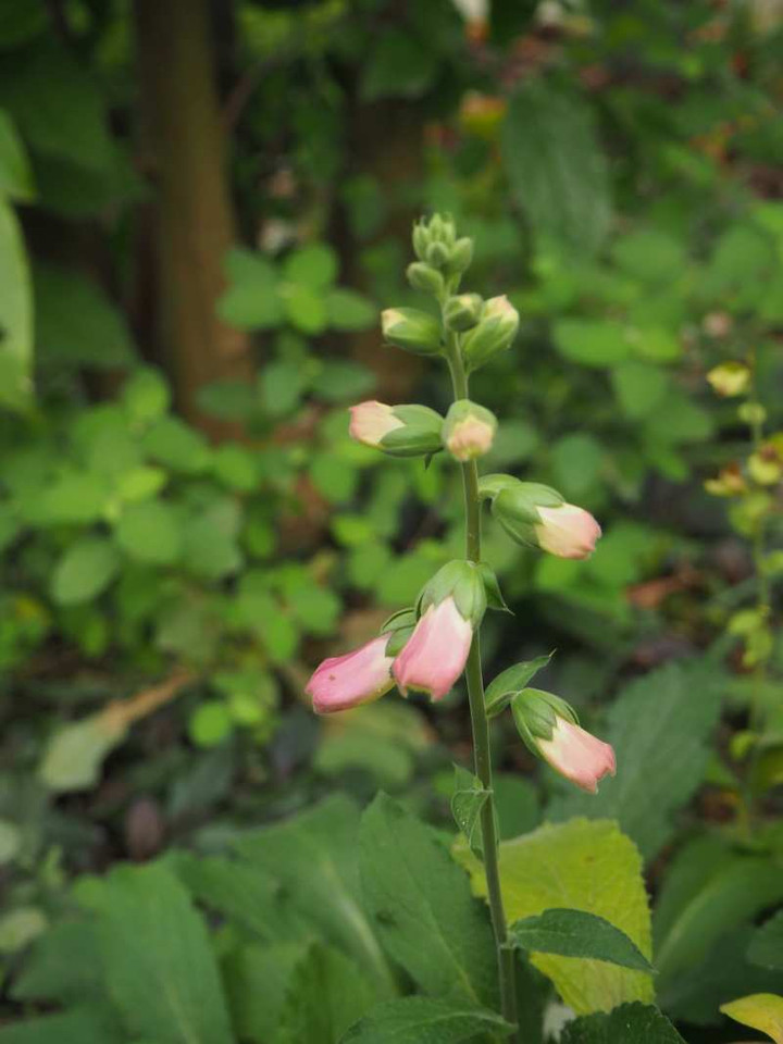 P9164487