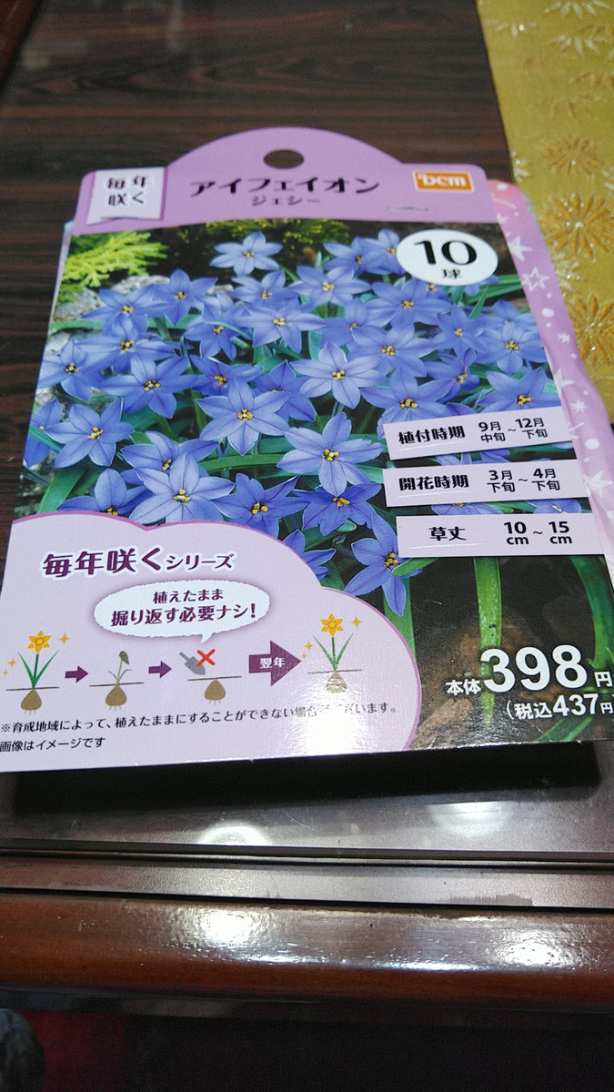 Kimg6281