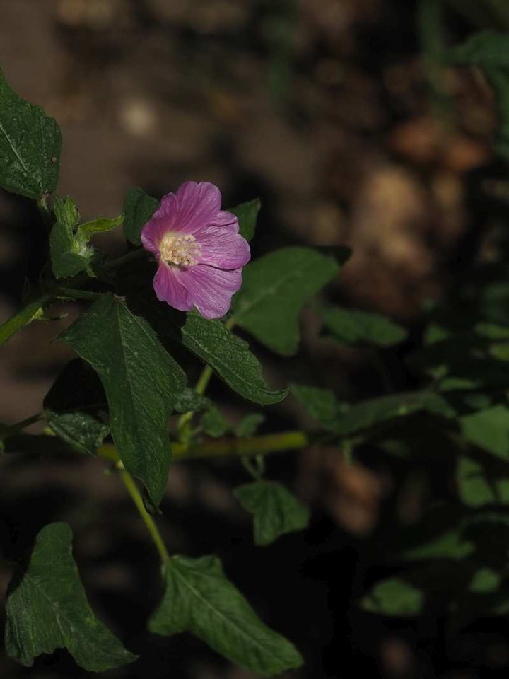 P9204978