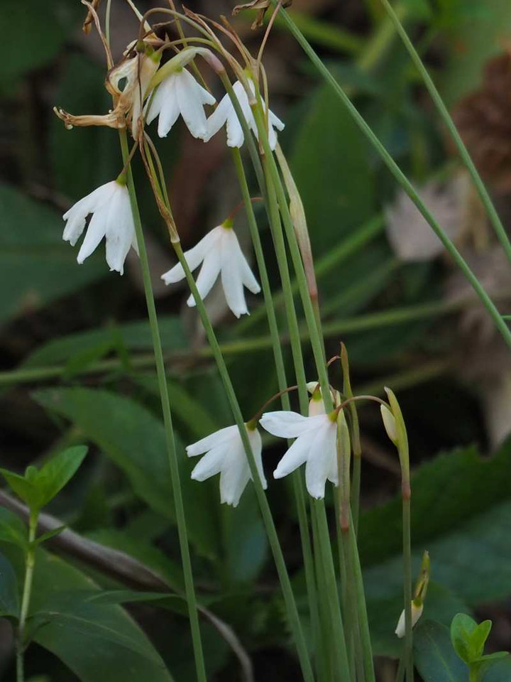 P9205011