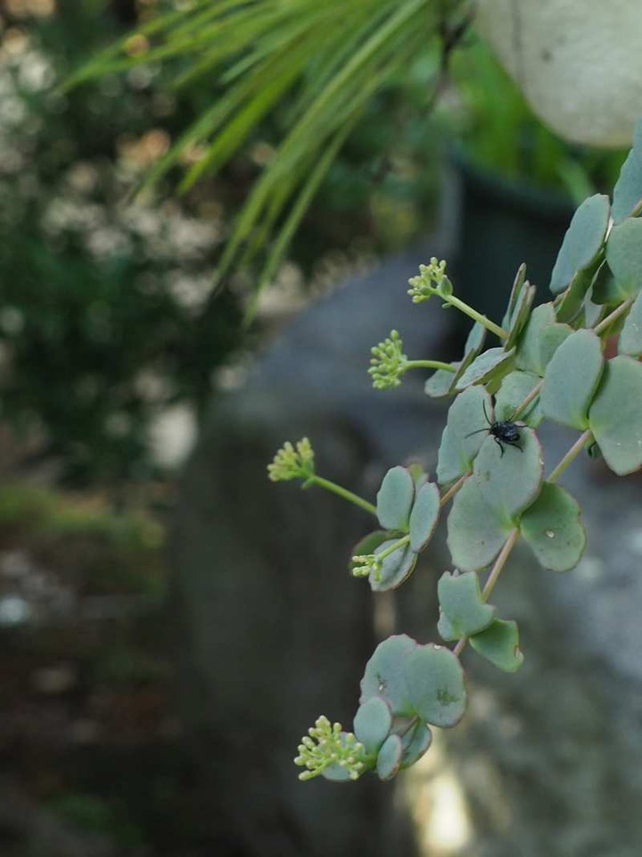 P9205015