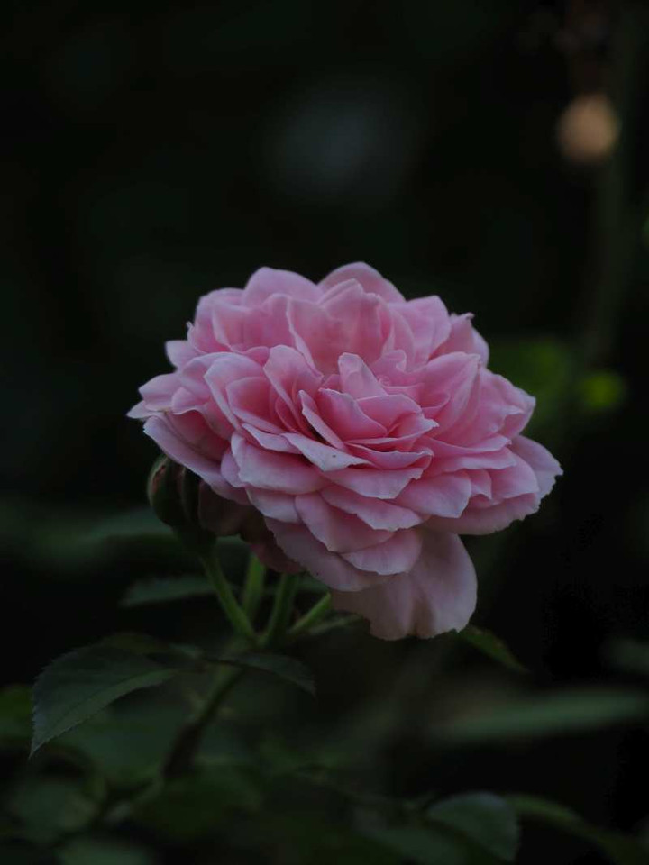 P9215046