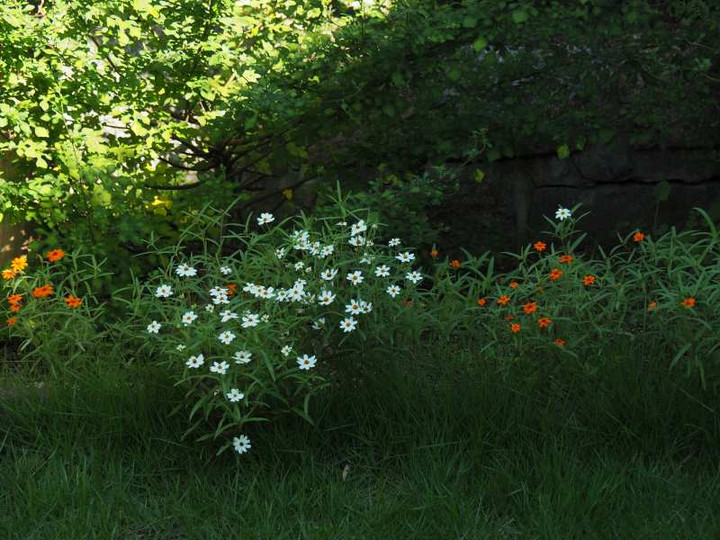 P9215067
