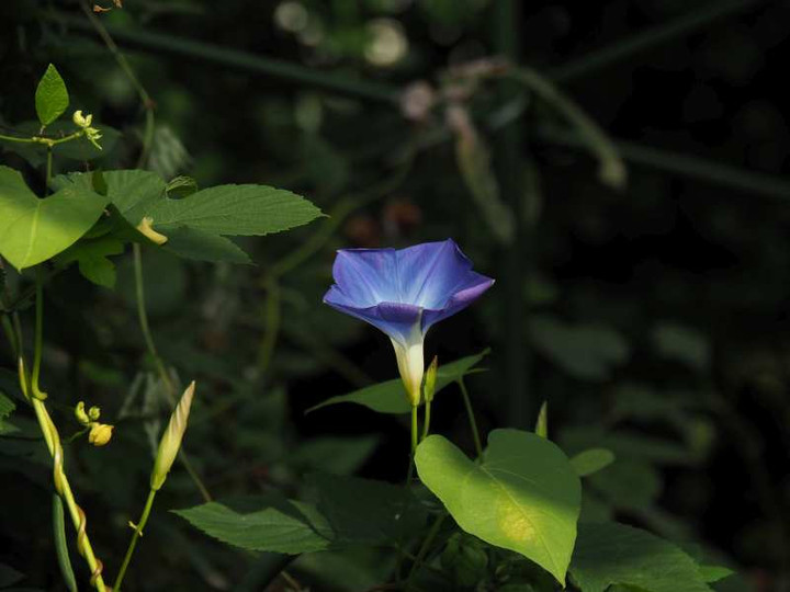 P9225130