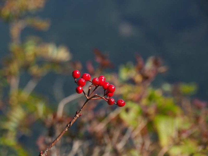 P9235291