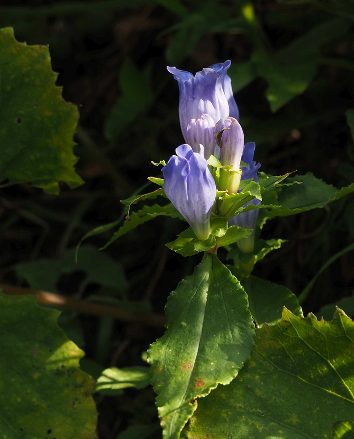 P9235301