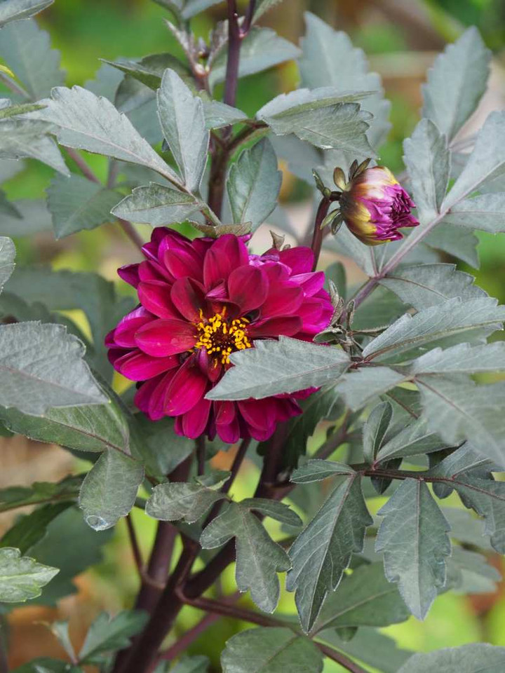 P9245314